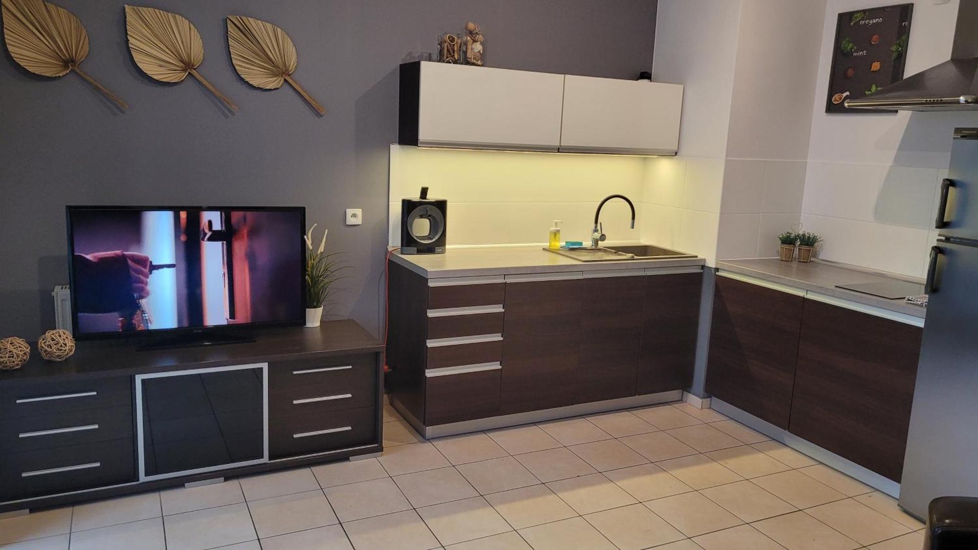 Frog Apartment - 2 Bedrooms And Living Room سفينويتشي المظهر الخارجي الصورة